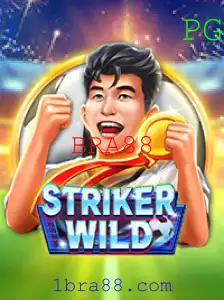 StrikerWILD: Explore o Mundo do Jogo com BRA88